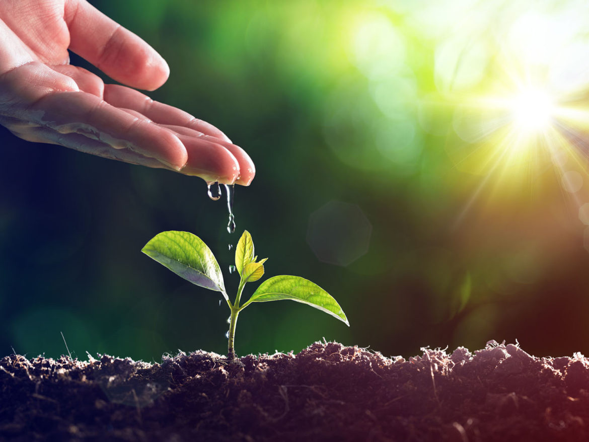 Inscreva-se aqui para formação da Pastoral da Ecologia