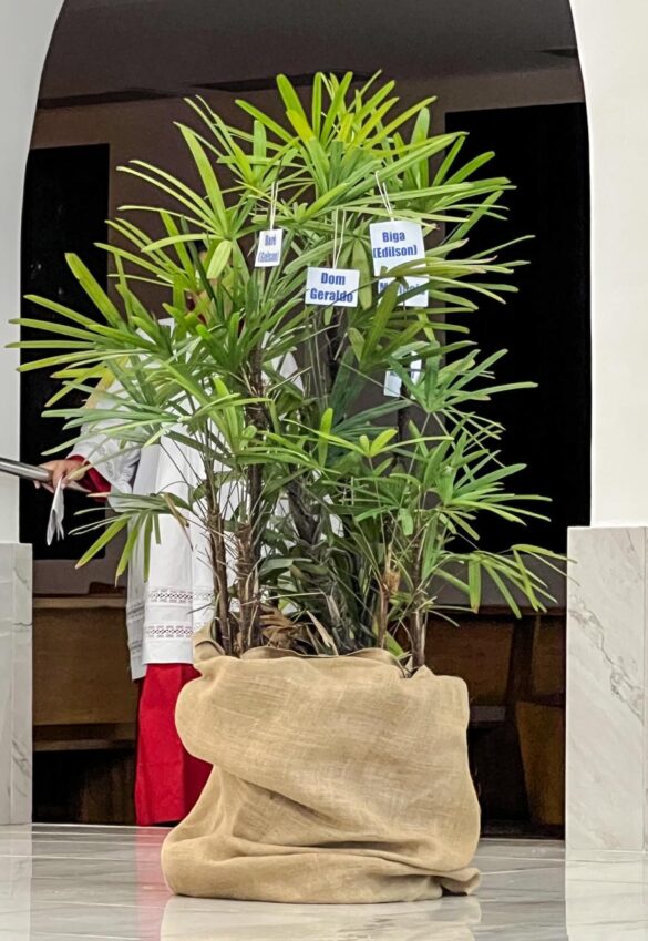 Pastoral Indigenista celebra Missa na Categral Diocesana